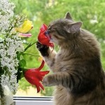 20 Animals Who Stopped To Smell The Roses