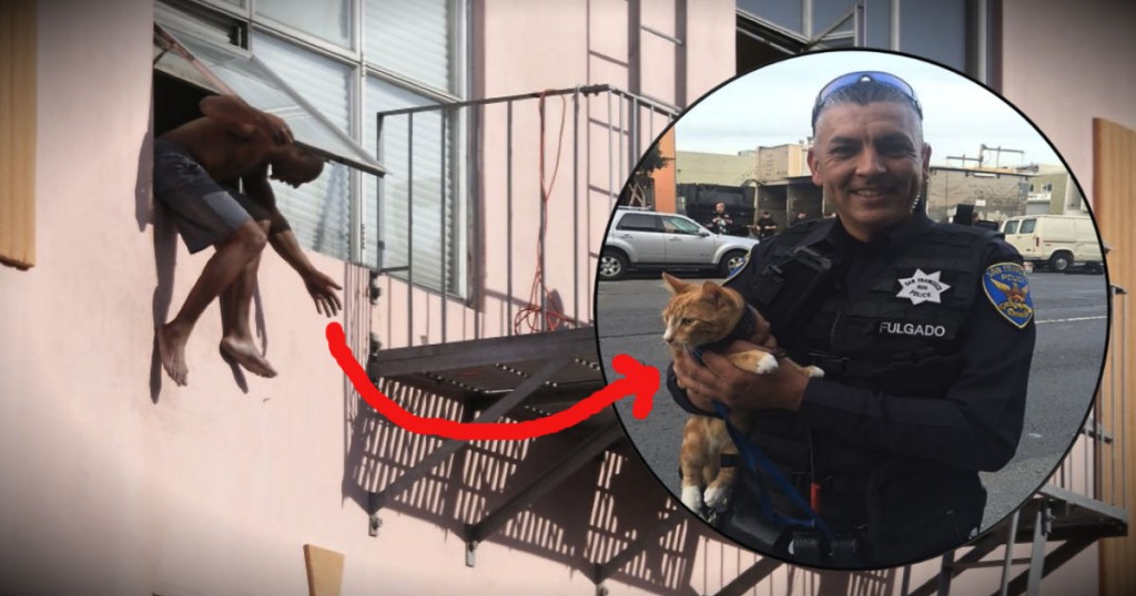 Beloved Pet Cat Saves Man From Committing Suicide