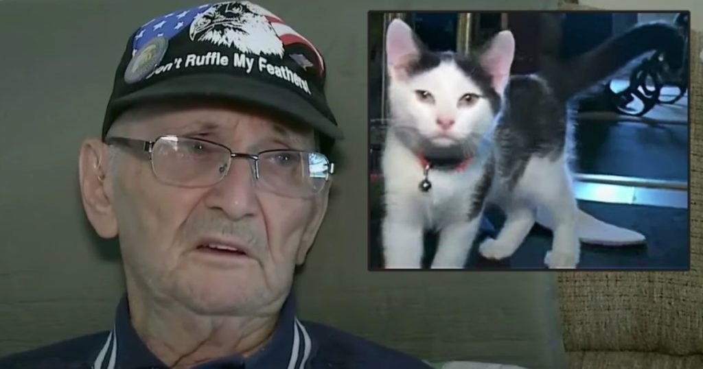 Cat Saves Life Of 84-Year-Old Veteran Who Fell While Home Alone