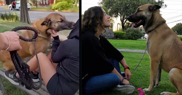 Woman Reunited With Long-Lost Dog After He Picks Up Her Scent