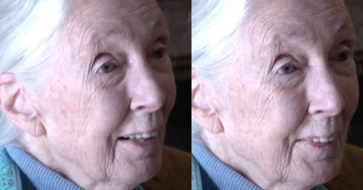 Jane Goodall age 90